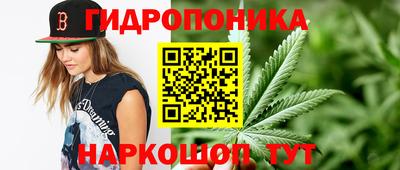 гидра Заволжье