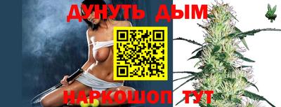 гидра Заволжье