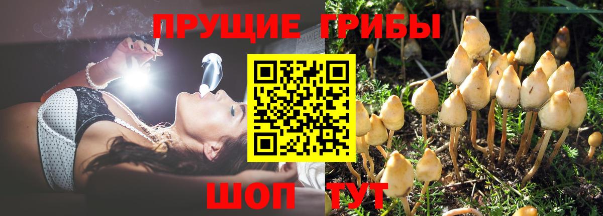 Конаково  Псилоцибиновые грибы ЛСД  Псилоцибиновые грибы мухоморы  Вход с VPN 